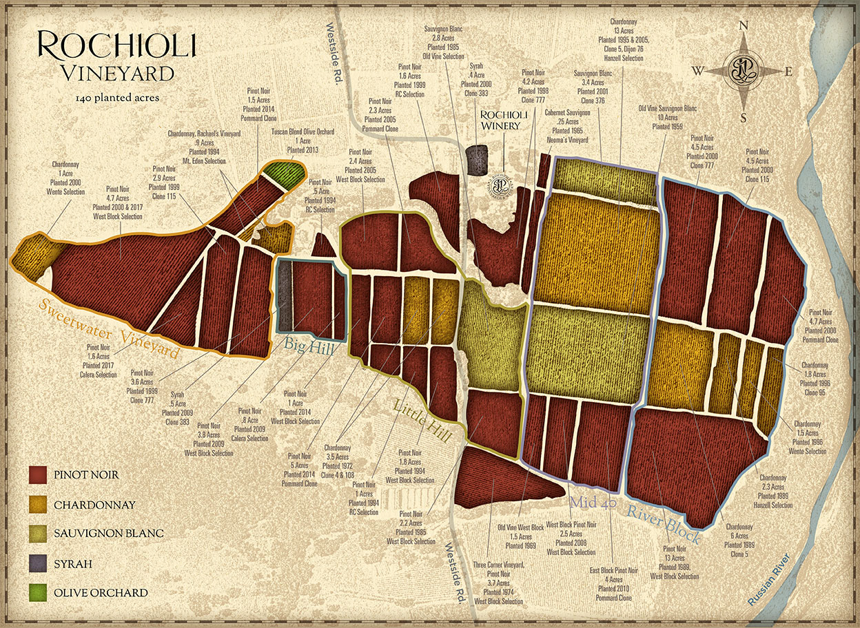 ロキオリブドウ園の地図